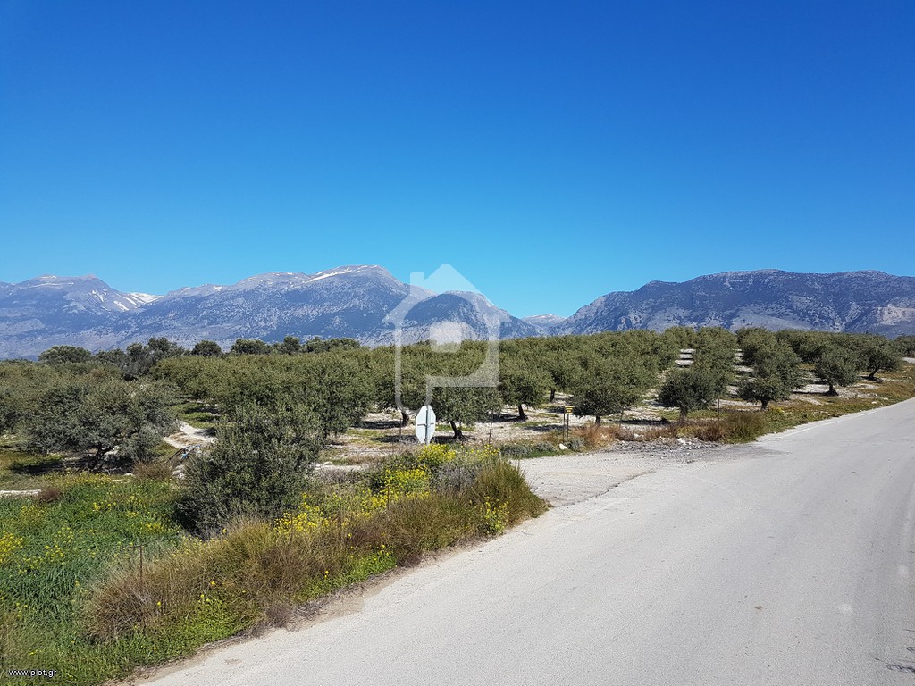 Αγροτεμάχια 7.232 τ.μ. για ενοικίαση, Ν. Ηρακλείου, Ζαρός