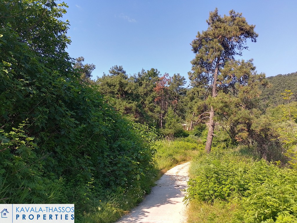 Αγροτεμάχια 2.325 τ.μ. για πώληση, Ν. Καβάλας, Θάσος