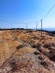 Αγροτεμάχια 9.649 τ.μ. για πώληση