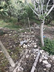 Οικόπεδο 550 τ.μ. για πώληση