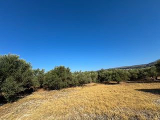 Οικόπεδο 1.050 τ.μ. για πώληση