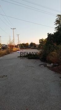 Αγροτεμάχια 3.685 τ.μ. πρός πώληση