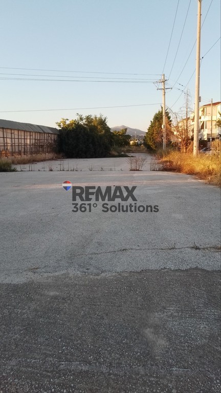 Αγροτεμάχια 3.685 τ.μ. πρός πώληση, Αθήνα - Ανατολικά Προάστια, Παλλήνη