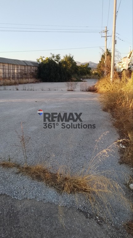 Αγροτεμάχια 3.685 τ.μ. πρός πώληση, Αθήνα - Ανατολικά Προάστια, Παλλήνη