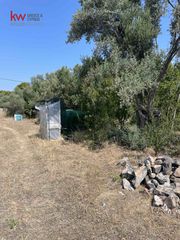 Οικόπεδο 8.671 τ.μ. για πώληση, Εύβοια, Ανθηδώνος-thumb-2