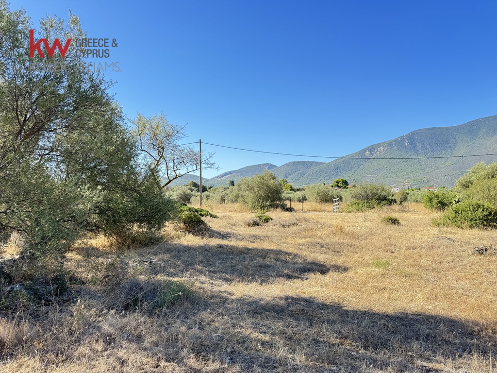 Οικόπεδο 8.671 τ.μ. πρός πώληση, Εύβοια, Ανθηδώνος
