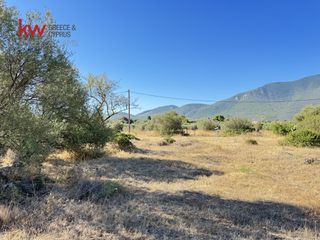 Οικόπεδο 8.671 τ.μ. για πώληση, Εύβοια, Ανθηδώνος-thumb-3