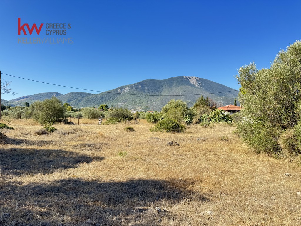 Οικόπεδο 8.671 τ.μ. πρός πώληση, Εύβοια, Ανθηδώνος
