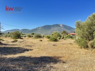 Οικόπεδο 8.671 τ.μ. για πώληση, Εύβοια, Ανθηδώνος-thumb-2