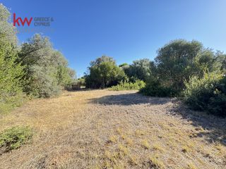 Οικόπεδο 8.671 τ.μ. για πώληση, Εύβοια, Ανθηδώνος-thumb-8