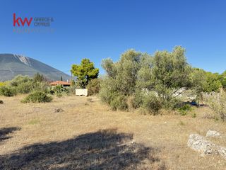 Οικόπεδο 8.671 τ.μ. για πώληση, Εύβοια, Ανθηδώνος-thumb-4