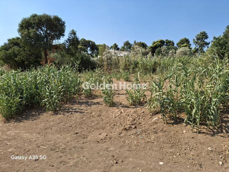 Land plot 214 sqm for sale