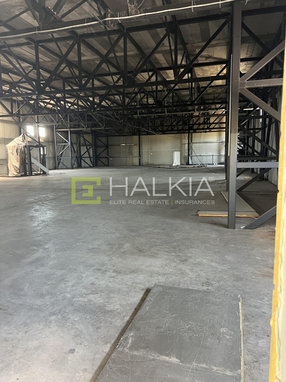 Βιομηχανικός χώρος 2.936 τ.μ. προς πώληση, Διμήνι