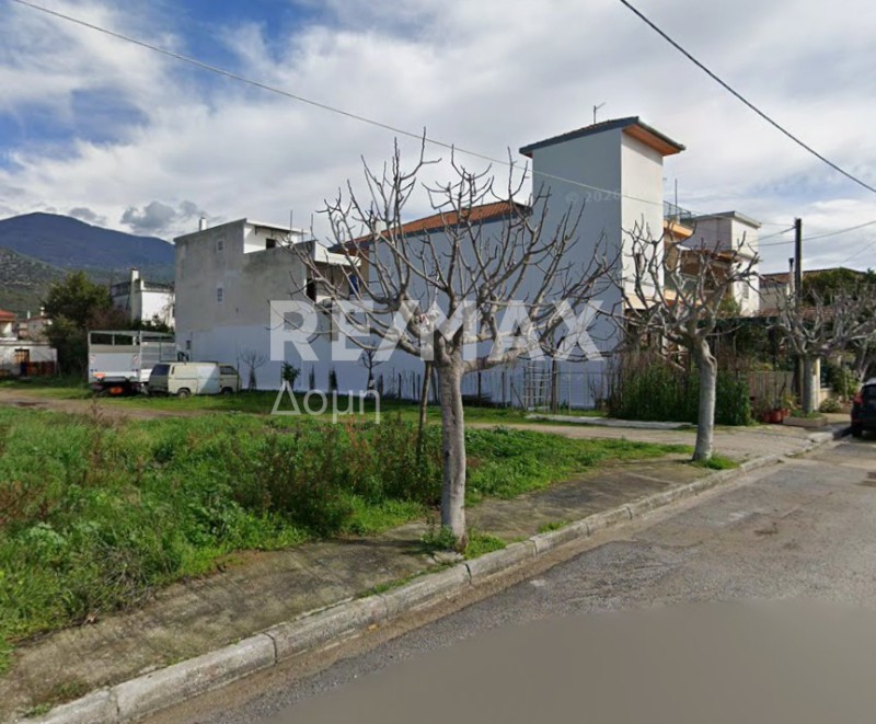 Οικόπεδο 996 τ.μ. πρός πώληση, Μαγνησία, Αγριά