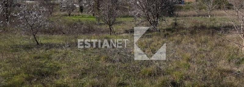 Αγροτεμάχια 9.605 τ.μ. προς πώληση, Τρίλοφο Θέρμης