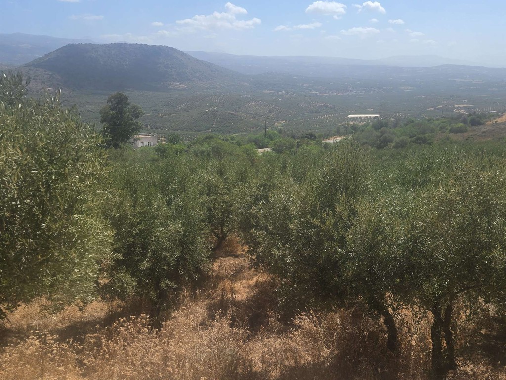 Οικόπεδο 2.610 τ.μ. για πώληση, Ν. Ρεθύμνου, Γεροπόταμος