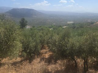 Οικόπεδο 2.610 τ.μ. για πώληση
