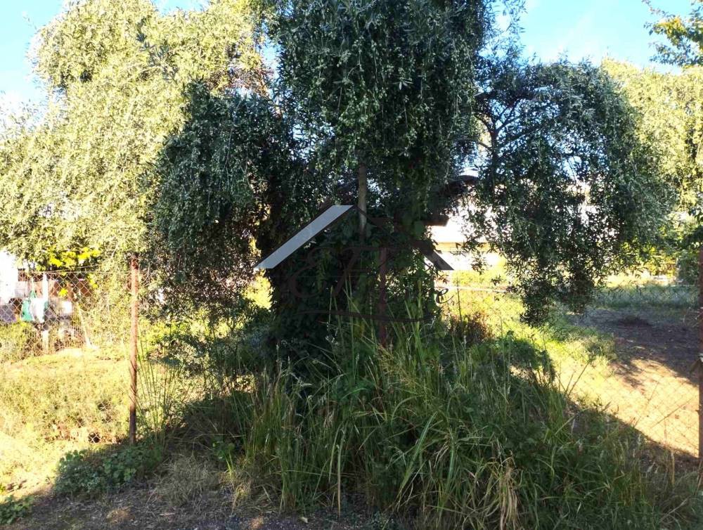Οικόπεδο 653 τ.μ. προς πώληση, Κέντρο Παραλίας Αχαΐας
