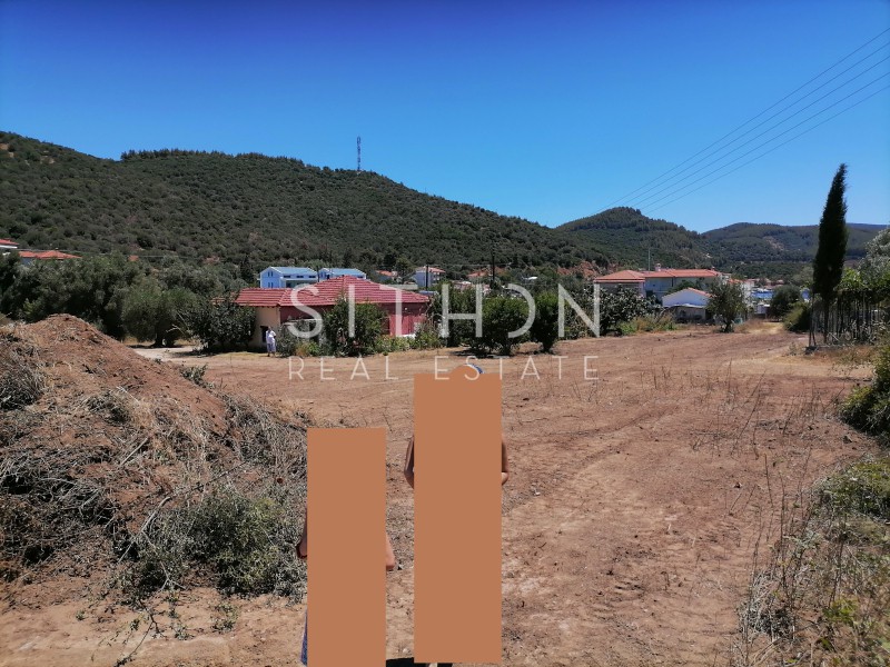 Αγροτεμάχια 1.269 τ.μ. προς πώληση, Κουφός Τορώνης