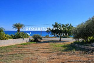 Οικόπεδο 1.800 τ.μ. για πώληση