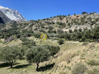 Οικόπεδο 58.345 τ.μ. για πώληση