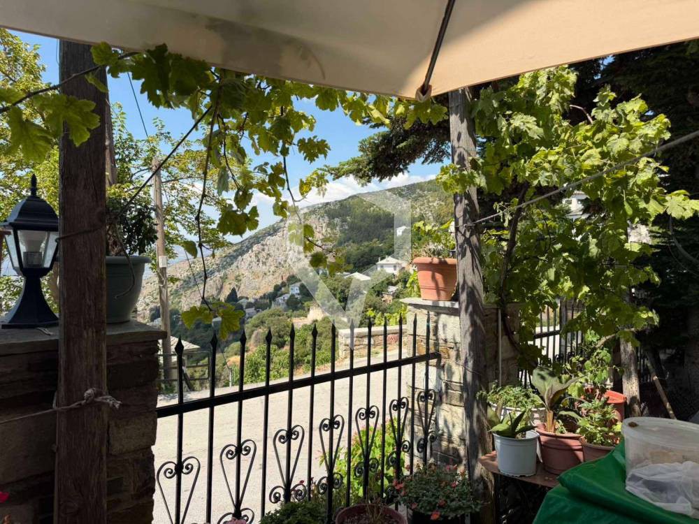 Συγκρότημα διαμερισμάτων 482 τ.μ. πρός πώληση, Μαγνησία, Πορταριά