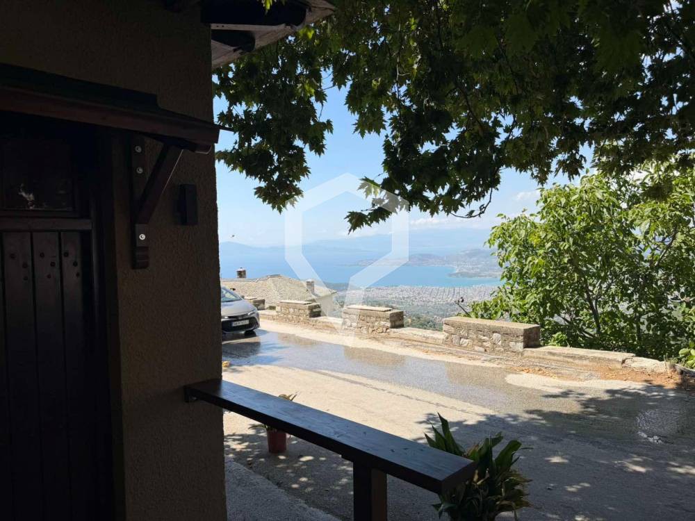 Συγκρότημα διαμερισμάτων 482 τ.μ. πρός πώληση, Μαγνησία, Πορταριά