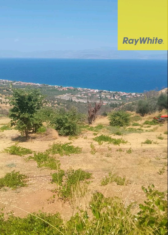 Οικόπεδο 1.800 τ.μ. προς πώληση, Άνω Λουτρό