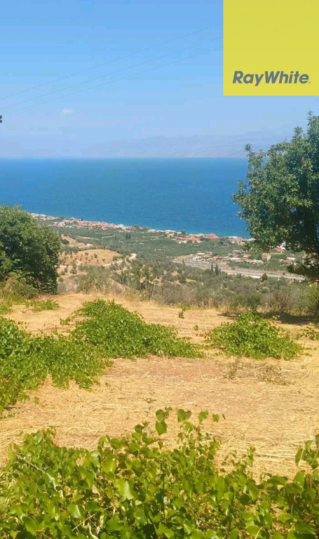 Οικόπεδο 1.800 τ.μ. προς πώληση, Άνω Λουτρό