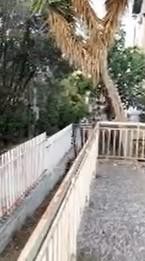 Μονοκατοικία 48 τ.μ. προς πώληση, Βορινέζα