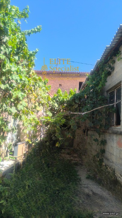 Μονοκατοικία 240 τ.μ. προς πώληση, Κουνάβοι