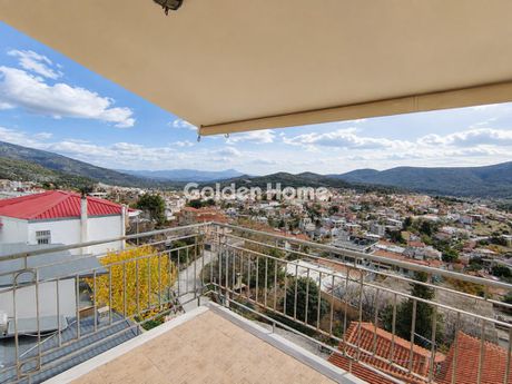 Detached home 210 sqm for rent