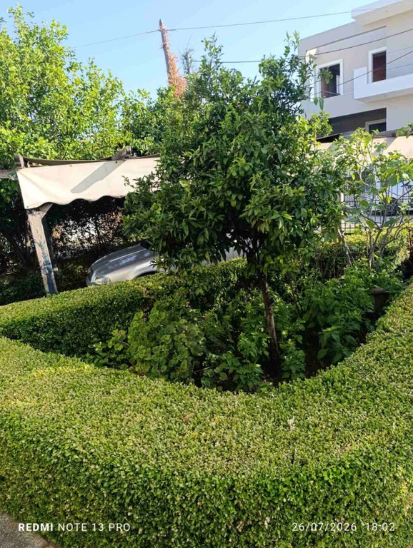 Μονοκατοικία 75 τ.μ. πρός πώληση, Εύβοια, Ληλάντιο