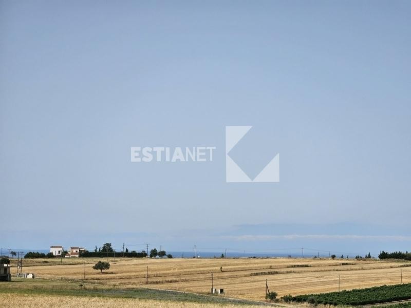 Αγροτεμάχια 10.125 τ.μ. προς πώληση, Κέντρο Επανομής