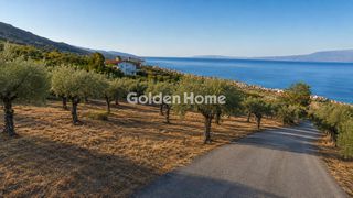 Αγροτεμάχια 2.115 τ.μ. για πώληση