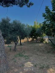 Μονοκατοικία 95 τ.μ. πρός ενοικίαση, Εύβοια, Αιδηψός-thumb-18