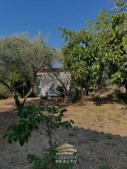 Μονοκατοικία 95 τ.μ. πρός ενοικίαση, Εύβοια, Αιδηψός-thumb-13