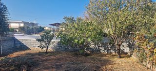 Μονοκατοικία 70 τ.μ. για πώληση, Μεσσηνία, Μεσσήνη-thumb-1