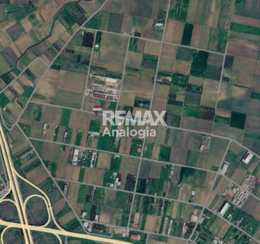 Αγροτεμάχια 9.700 τ.μ. προς πώληση