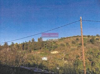 Αγροτεμάχια 16.113 τ.μ. για πώληση