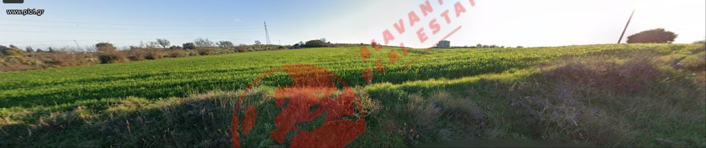 Αγροτεμάχια 6.705 τ.μ. πρός πώληση, Εβρος, Αλεξανδρούπολη