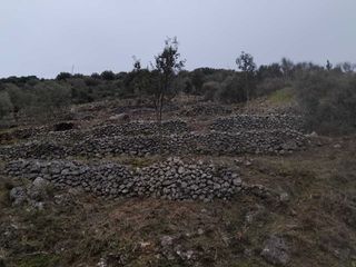 Οικόπεδο 1.213 τ.μ. για πώληση