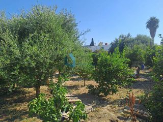 Οικόπεδο 1.004 τ.μ. για πώληση