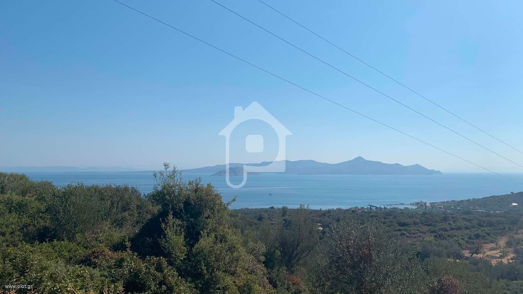Αγροτεμάχια 4.100 τ.μ. προς πώληση, Κουνουπίτσα Μεθάνων