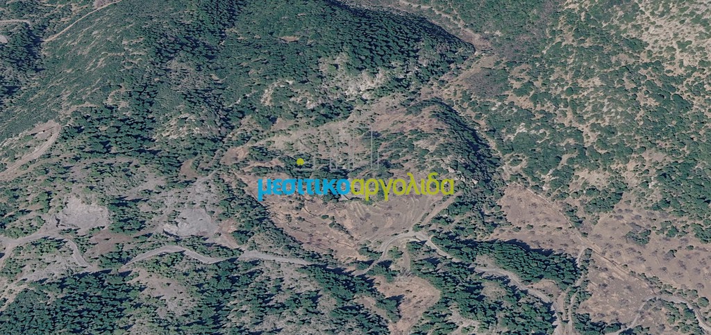 Αγροτεμάχια 15.586,35 τ.μ. προς πώληση, Στεμνίτσα