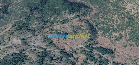 Αγροτεμάχια 15.586,35 τ.μ. προς πώληση