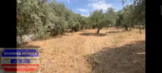 Οικόπεδο 1.916 τ.μ. για πώληση