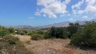 Αγροτεμάχια 750 τ.μ. για πώληση