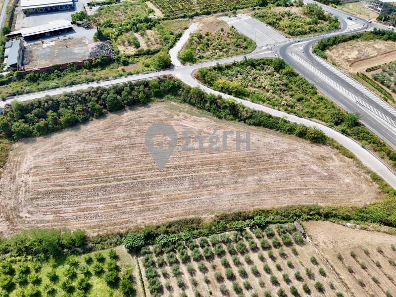 Αγροτεμάχια 13.570 τ.μ. προς πώληση, Πατρίδα