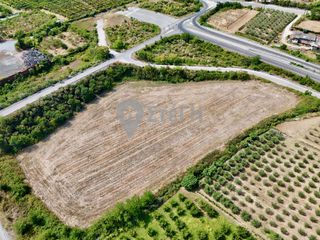 Αγροτεμάχια 13.570 τ.μ. για πώληση